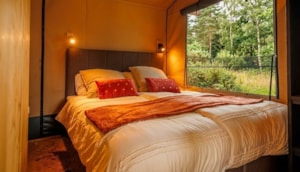 Safarizelt&nbsp;Forest Lodge - Schlafzimmer